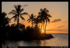 2nd-Place-Florida-Tranquility-by-Garry-Norton