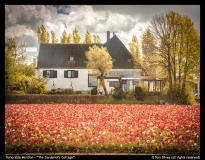 HM-The-Gardeners-Cottage-by-Tom-Silvey