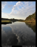 Intracoastal-Reflection-by-Trish-Hale