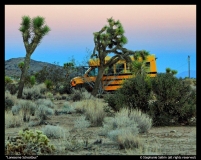 Lonesome-Schoolbus-by-Stephanie-Salkin
