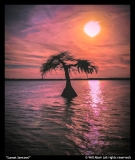 Sunset-Sentinel-by-Will-Abair