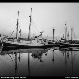 Casements Award-Bill Sweeters-Whale Watching Boats Iceland