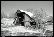 Debbie-LeCrone-Haybarn