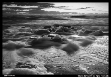 Janet-Bernardini-Sea-Foam-Sea