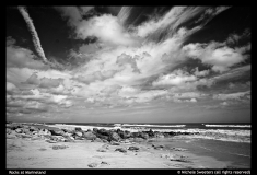 Michele-Sweeters-Rocks-at-Marineland