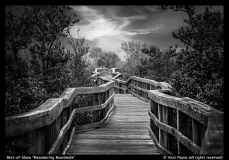 Best-of-Show-Vicki-Payne-Meandering-Boardwalk