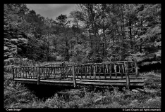 Creek-Bridge-by-Carol-Chapin