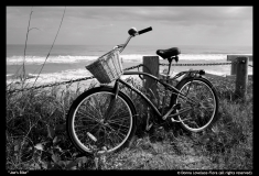 Joes-Bike-by-Donna-Lovelace-Flora
