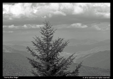 Stormy-Blue-Ridge-by-Jerry-LeCrone