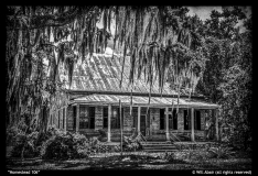 Homestead-106-by-Will-Abair
