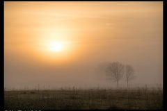 MA-Jerry-LeCrone-Sunrise in the Fog