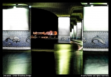 2nd place -Larry Parker -Under Broadway Bridge