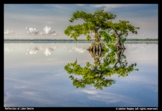 Adelet Kegley - Reflection at Lake Destin