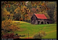 Merit Award - Terry Dickerson -Laddered Barn