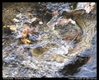 Robert Schroeder - Running Water-Grandfather Mountain