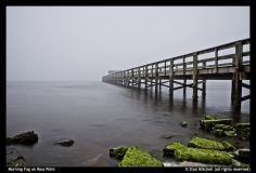 Stan Mitchell -Morining Fog on Ross Point