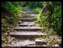 Stairway-in-Ravine-Gardens-S.P.-in-Palatka-Sue-Causey