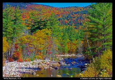 Debbie-LeCrone-White-Mountain-NH