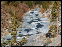 Sue-Causey-South-Boulder-Creek