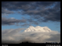 Trish-Hale-Mount-Rainier