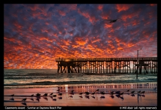 Casements-Award-Sunrise-at-Daytona-Beach-Pier-by-Will-Abair