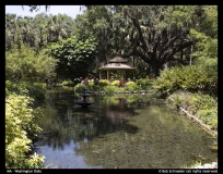 HM-Washington-Oaks-by-Bob-Schroeder