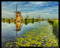 Jeanne-Figurelli-Windmills-at-Kinderdijk-NL