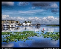 MA-The-Lone-Fisherman-by-Jeanne-Figurelli