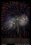 Ronn-Orenstein-Fireworks-2