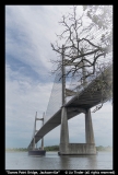 Dames-Point-Bridge-Jacksonville-by-Liz-Tinder