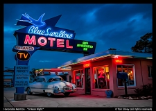 HM-A-Neon-Night-by-Tom-Silvey