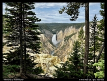 Memories-of-Yellowstone-by-Trish-Hale
