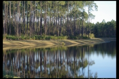 MA-Jerry LeCrone-Mirror Image