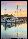 Best-of-Show-Vicki Payne-Dawn at the Marina