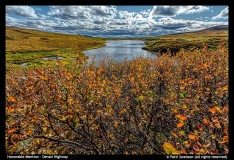 HM-Patti Swenson-Denali Highway