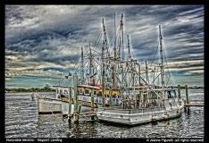 HM-Jeanne Figurelli-Mayport Landing