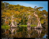 HM-Adelet-Kegley-Lake-Disston