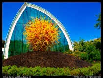 Linda-Johnson-Chihuly-Garden-Glass-Seattle-WA