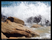 Sue-Causey-Ocean-Spring