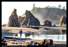 MA-Olympic-Natl.-ParkRuby-Beach-Larry-Parker