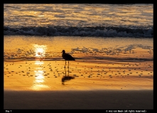 Day-1-Ans-van-Beek