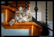 Day-8-Nancy-Munier