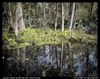 Ans-van-Beek-3