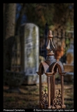 Ronn-Orenstein-Pinewood-Cemetery