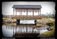 Joan Robinson-covered bridge
