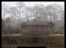 Elizabeth Rourke-covered bridge