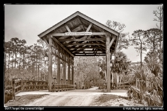 Vicki Payne-covered bridge