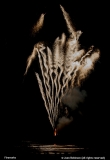 Joan Robinson-Fireworks