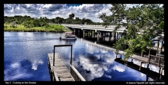 Jeanne Figurelli-day 5-Cruising on the Tomoka