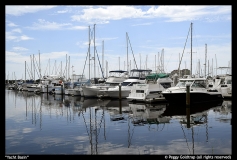 Peggy Goldtrap-Yacht Basin